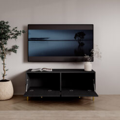 TV szekrény Tili 2D TV-szekrény - Fekete