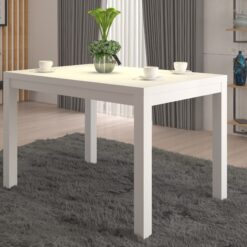 OLAF 2 kávés asztal 120x80