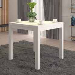 OLAF 1 kávés asztal 80x80