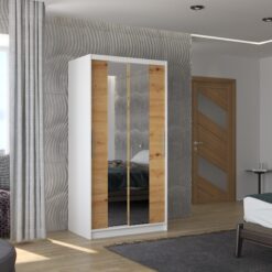 Biztonsági tükrös tolóajtós szekrény DRAGONIS 100